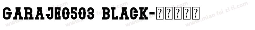 Garaje0503 Black字体转换